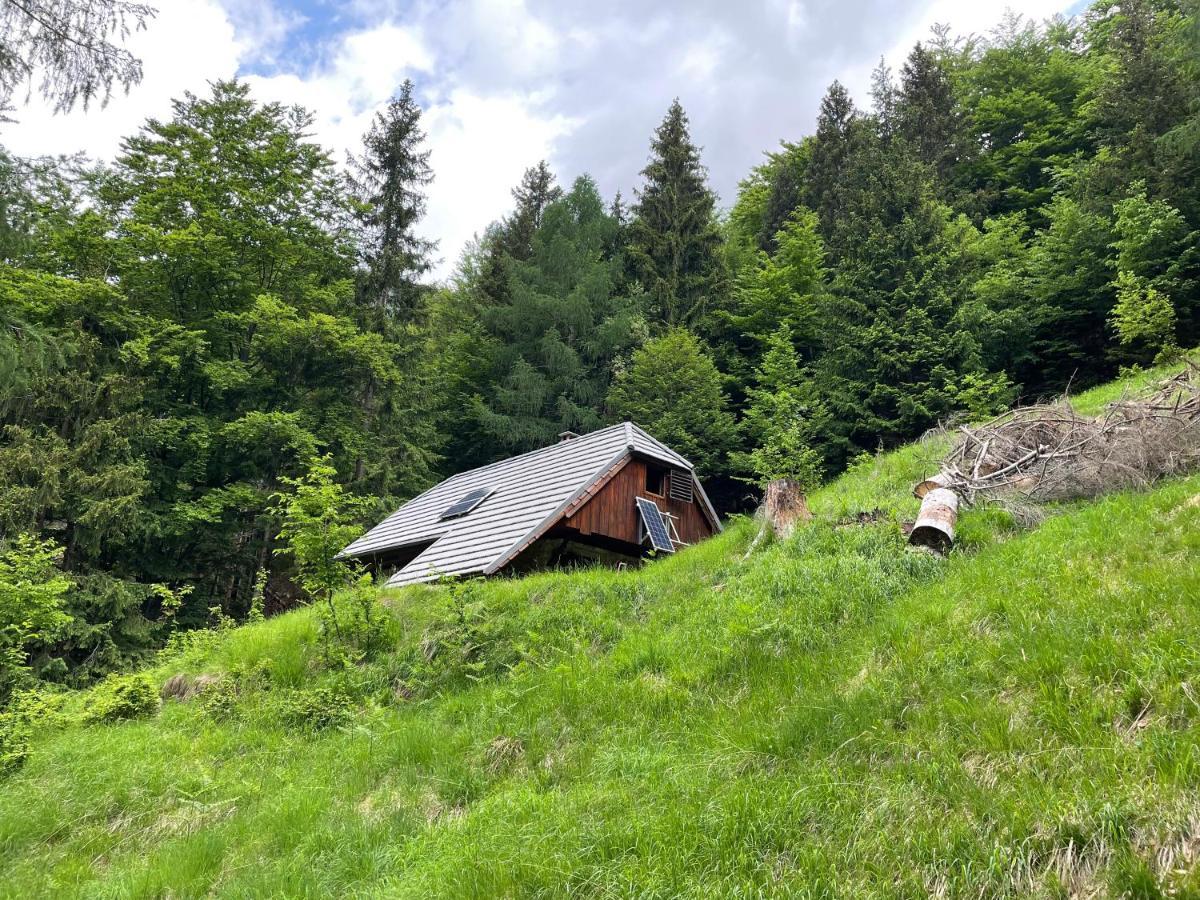 Architect'S Cottage - Serenity And Greenery In The Highlands Soča Eksteriør billede